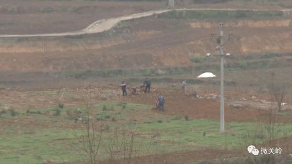 �h�r(n��ng)Ͷ��˾ȫ���Ը�����ȫ�h�߲˹���(y��ng)�����S �z