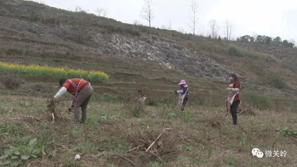 �P�Xȫ�������߲��Ј��������㷀�������S �z