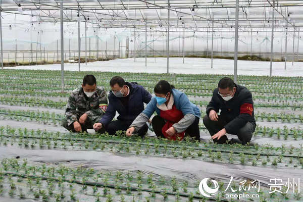 �D���v��ɲ��h�T���h��r���ˆTָ���r�������������a���w���A �z