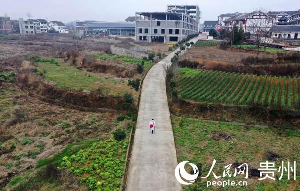 �x��֥������Ų��·�ϡ�