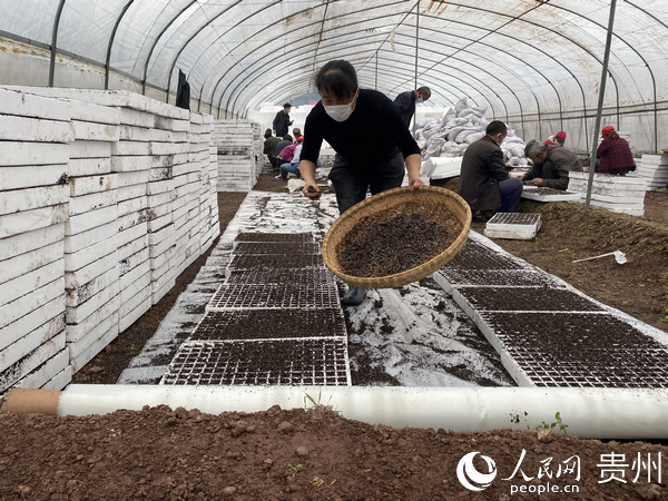 �_ꖿh������r�I�a�I�Y���{��500�������Nֲ���طN�����硣 ���� �z