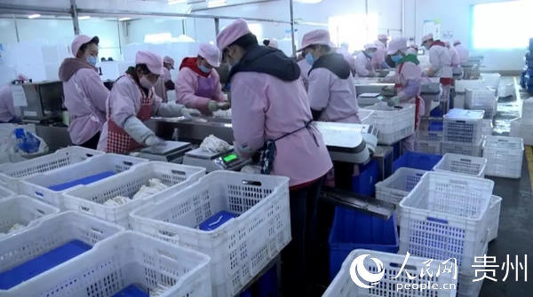 ʳƷ��I(y��)��(f��)����(f��)�a(ch��n) ���󷽿hί���������D