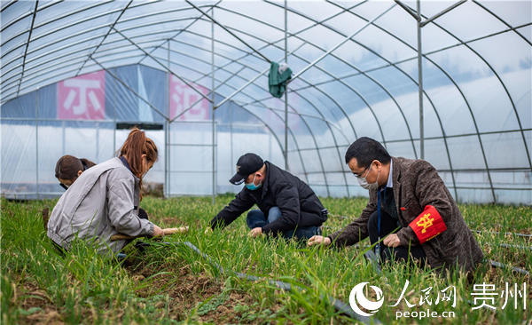 ���ֵ��t�r�庆������[ʾ�����أ��h�T�ɲ��ʹ�����æ��������ķ��[���ݡ������� �z