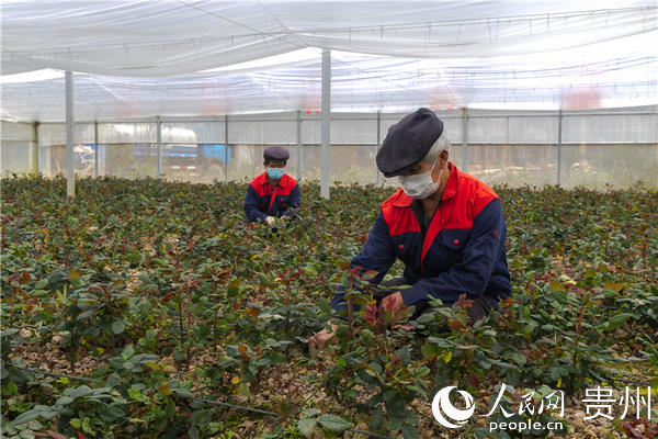 �x��ʯ�񻨻ܻ��أ��������ڄ�(w��)���������� �z