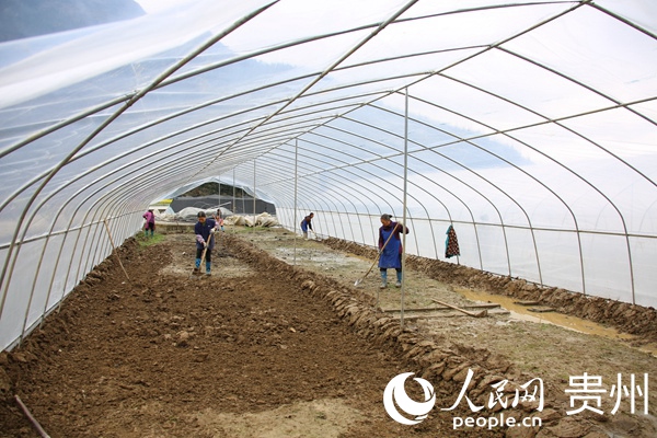 �ͷ����O(sh��)�е���������������ء�ӡ����ý�w�����ṩ