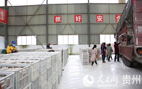 �D��3��3�գ��غӿh����患��������ڰ��\������I��˾��ӡ�����a�����\���ľ�����ӡ����ý�w�����ṩ