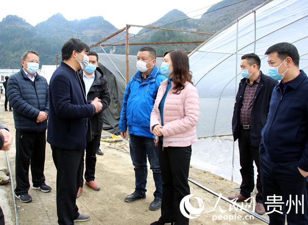 ӡ���hί��ӛ���Gһ�����غӿh����悲鿴����������ء�ӡ����ý�w�����ṩ