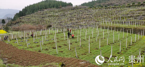 �ڎr���������أ�ʩ�������ԷNǰ��a(ch��n)�A�� ��� �z