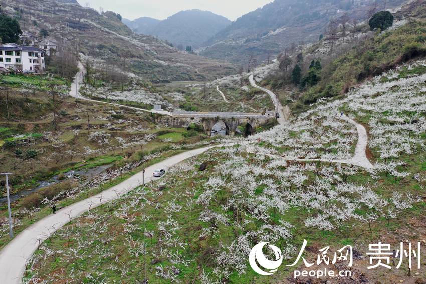 ���Ŀh����2500�����ʢ�_���_��  �z