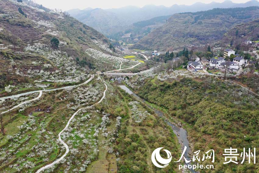 ���Ŀh����2500�����ʢ�_���_��  �z 