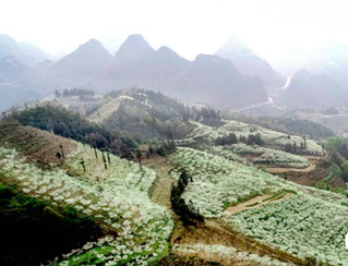          ���紺ѩ�������� 23�f����Rʢ�_     ���£����P����ؑ�S�h�Mɽ��Ұ�������`�ţ����紺ѩ����M��ⴺ�Ě�Ϣ��23�f�������`�ţ���ɽҰ���g���r(n��ng)���ķ�ǰ�ݺ�......   �F���������������ξ��^(q��)�֏��_�@���߽����a���y�w�ء���ӛ������3��3�գ������������Ǿ��^(q��)�T��ֵ���c�������ˆT���񰴳���?q��)��ο��M����һ�Ų飬һ�������󣬷���ُƱ��@���[......�Fꖵ��F1̖��ԇ�ß����y��ϵ�y(t��ng)    ӛ�ߏ��F���܉�����F�@Ϥ,�S���F��и��и��I(y��)����͹��ͮa(ch��n),���F1̖���������𲽻���,���Mһ�������������,��Ч�����Mվ�˿͜y��Ч��......