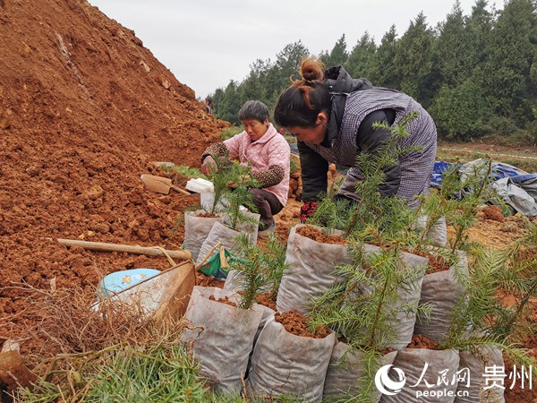 ʯ��h�����l�a�I�{�����r���������㡱��Ъ������������ �z