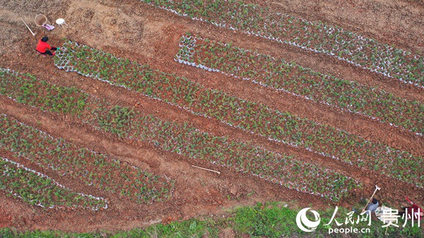 ʯ��h�����l(xi��ng)�a(ch��n)�I(y��)�{(di��o)�����r(n��ng)���������㡱��Ъ������������ �z