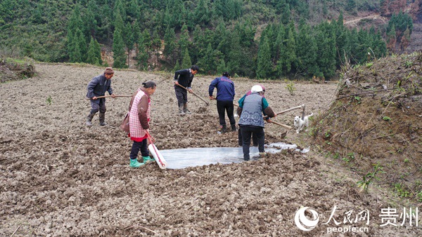 ʯ��h�����l(xi��ng)�a(ch��n)�I(y��)�{(di��o)�����r(n��ng)���������㡱��Ъ������������ �z