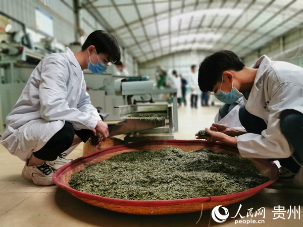 ʯ�䴺���ժ��(bi��o)��(zh��n)�������o(h��)��@������ ������ �z