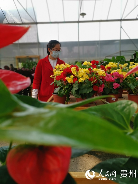 ���M���ں�����߲ʈ@ˇ�����xُ������