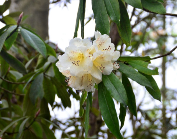 ʢ�_�Ķ��N�������㷼 �z