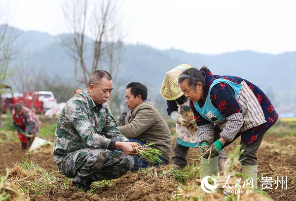 ���´塰��֮��(sh��)���������I(l��ng)����Nֲ�²ˡ�Ф�� �z