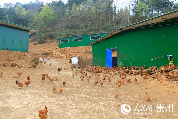 ���ڴ����u�Bֳ������һ�ǡ������� �z