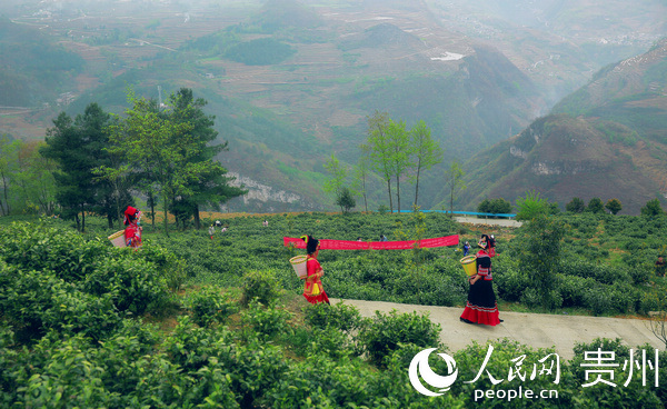 �f����ɽ��푡��ɲ��������Ľ� �z