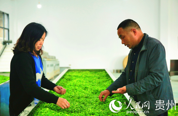 ���������P�f����ɽ��푡��ɲ��������Ľ� �z