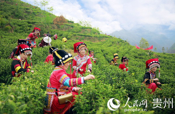 ���������P�f����ɽ����Ҹ����ɲ��������Ľ� �z