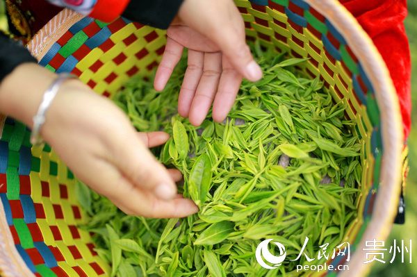 �����P�� ���Ľ� �z