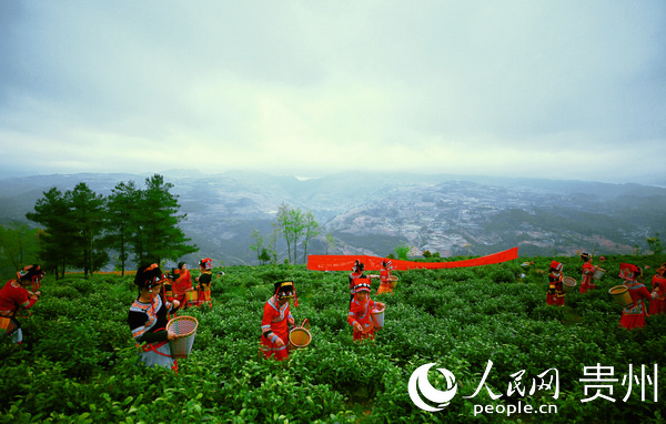 �����P(gu��n)�^(q��)�f����ɽ���Ľ� �z