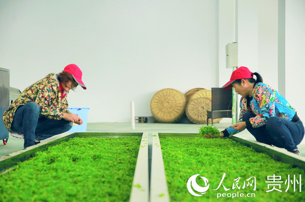 �����P(gu��n)�^(q��)�f(w��n)����ɽ����Ҹ����ɲ��������Ľ� �z