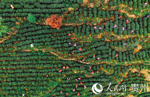 �����P����Ҹ����ɲ��������Ľ� �z