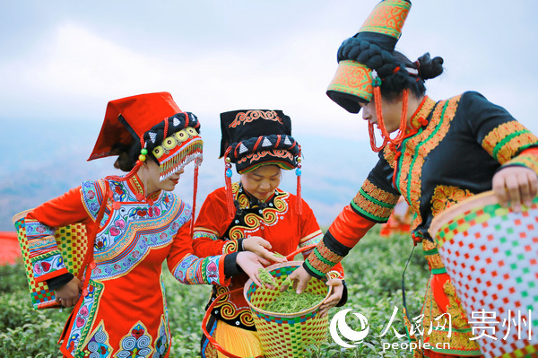 �����P(gu��n)�f����ɽ����Ҹ����ɲ��������Ľ� �z