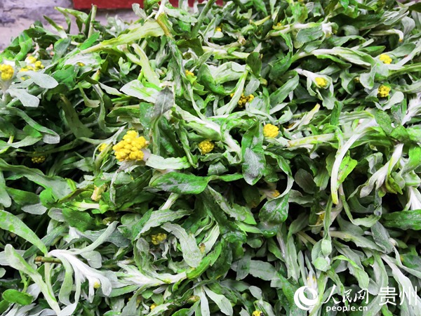 ���������α؂��ʳ�ġ��������ˡ����h�I �z