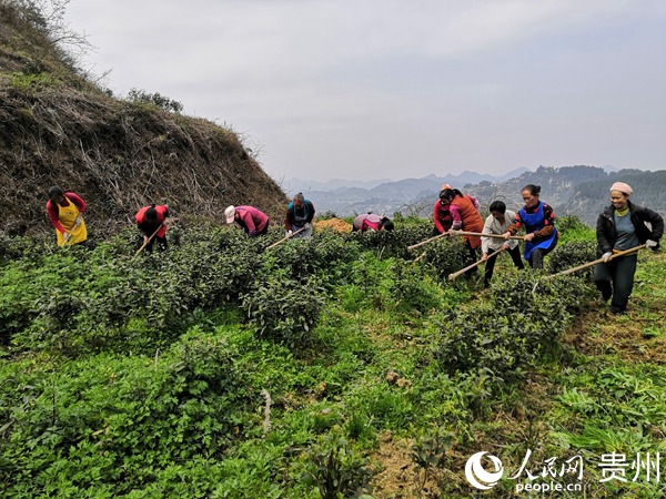 ��(d��ng)?sh��)�Ⱥ���ڲ�I(y��)�����τ�(w��)�����ݡ��_�� �z