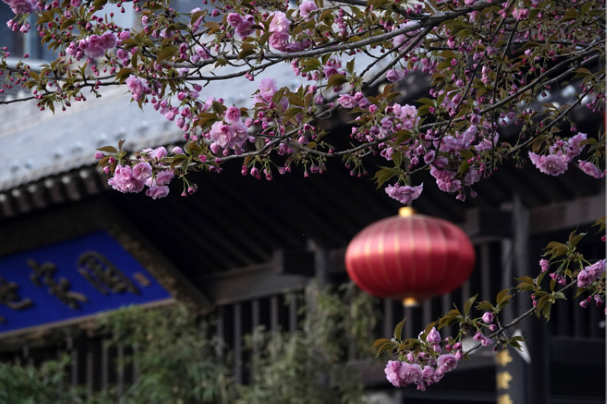 ɽ���{�ݣ��M�ǻ��������