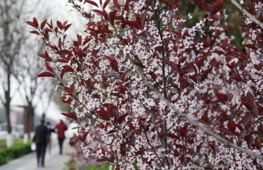 ɽ���{�ݣ��M�ǻ����������2��