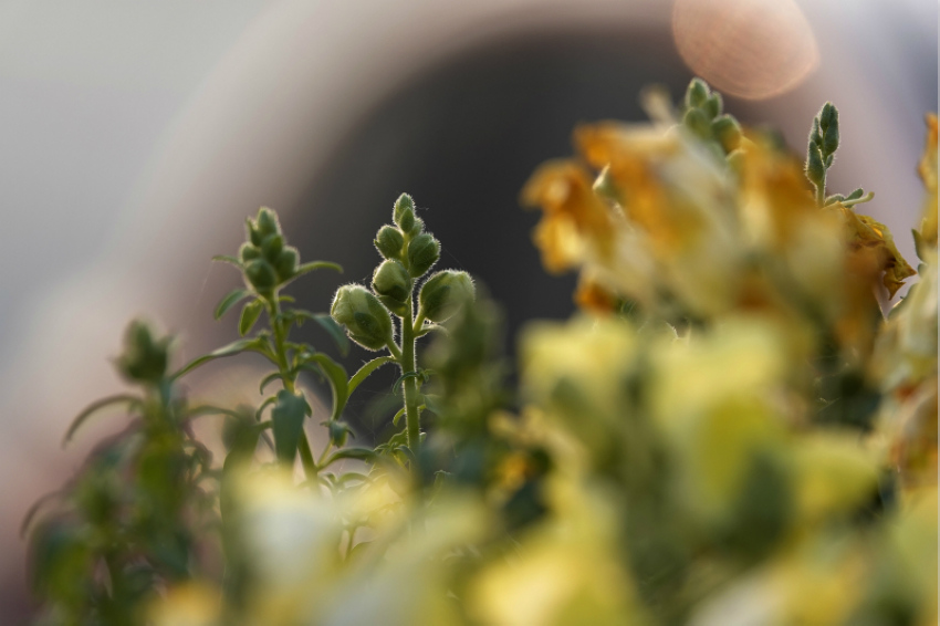 ɽ���{�ݣ��M�ǻ����������3��