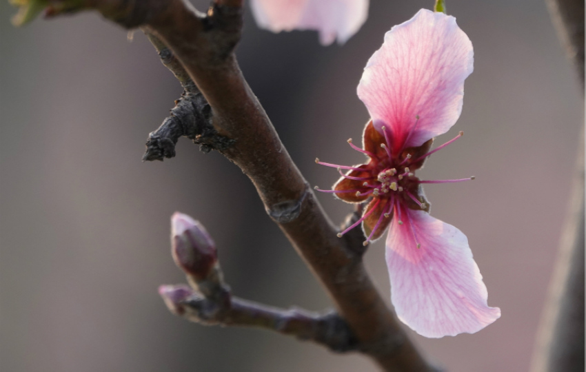 ɽ���{�ݣ��M�ǻ����������7��