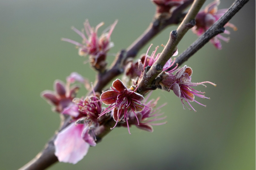 ɽ���{�ݣ��M�ǻ����������6��