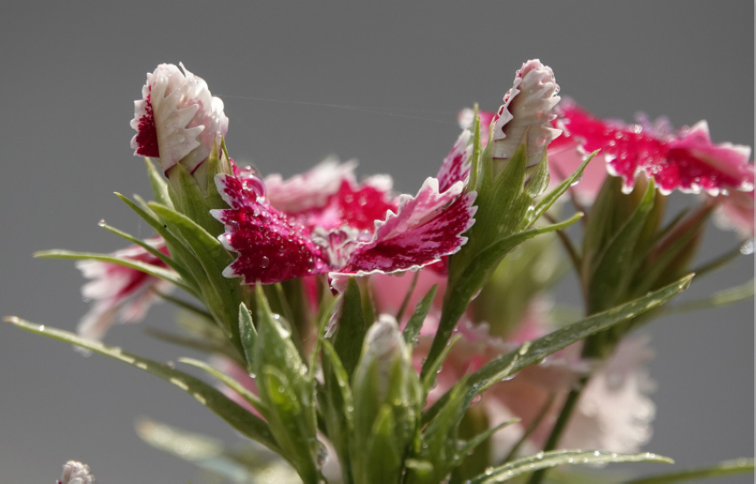 ɽ���{�ݣ��M(m��n)�ǻ����������5��