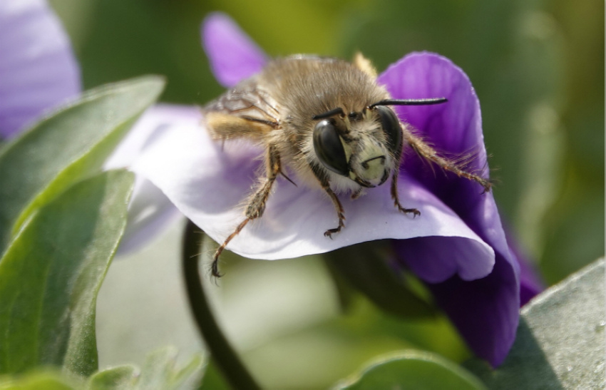 ɽ���{�ݣ��M�ǻ����������9��