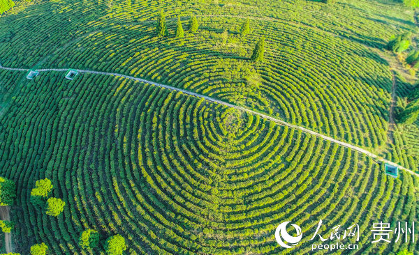 �󷽿h؈��悾Ŷ����@�M����ǰ������ڡ�Ԭ��־ �z