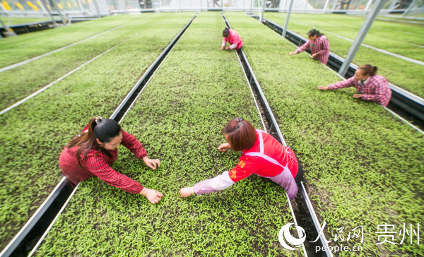 �󷽿h�|�P(gu��n)�������Ĺ��o(h��)�ˆT���M(j��n)����������o(h��)���_�� �z