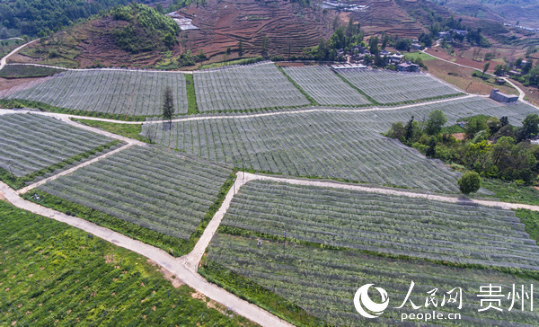 �󷽿h�����l��ľ��J���һ��ء��󷽿hί���������D