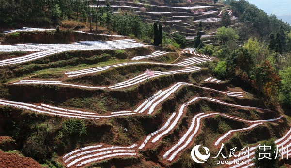 �󷽿h�S����悿��������������Nֲ�������� �z