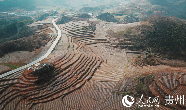 �󷽿h�G���lħ��Nֲ���ء���Ӗ�F �z