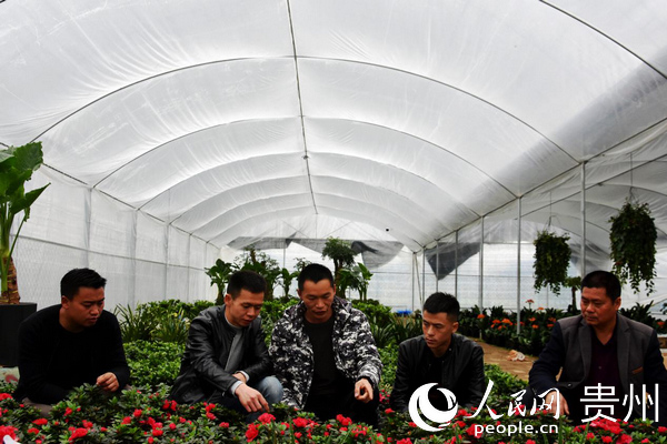 ��֧�����w�c�r������ؓ؟�˲鿴�r���L�ݡ��w���A �z