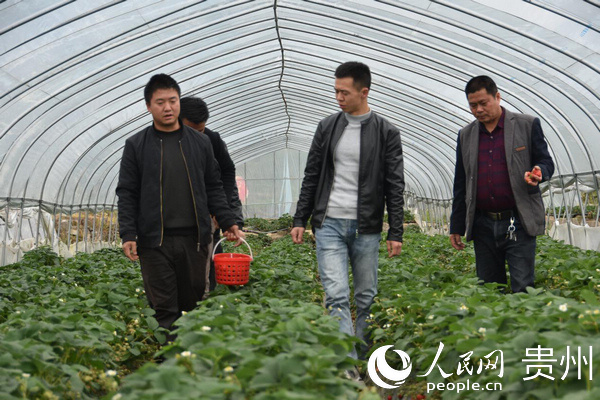 ��֧�����w�c�Nֲ����Ԓ��ݮ�a(ch��n)�I(y��)�l(f��)չ���w���A �z