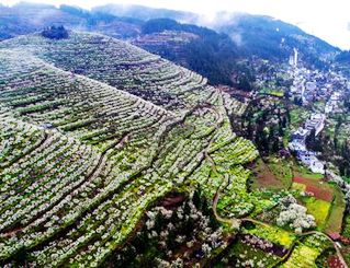          �F���غӣ�����ʩ�� ȫ���������ؚ������    �����ӛ���۷䣬�섂��������������Ҵҳ��^��󣬱㿸���z�^��ð�����꣬���ɽ����ȥ���@����110�����۷䣬����������Ľ��I�ġ��ɹ�����Ҳ�Ǵ���Tᘌ�ؚ�����Ďͷ��Ŀ......  �F�ݴ󷽣���á�����ȫ��얹�����Óؚ��Ч���Ĝʂ�ư�P���b�������N��ǰ����Ҫ���һ���µĕr�g���ڹ��o�ˆT�ľ��������£�ÿһ�������綼�L�úܺã����а낀�¾Ϳ����M�������ˡ������ڴ󷽿h�S��������Ӵ������������......�F��ӡ������Ѫʽ���ͷ����غӮa�Iע����ˮ��    ���L���G������������ؚ�����Ⱥ���3��3�գ��~�������f�h�M�ɆT��ӡ�����οhί��ӛ���G��꠱����غ����οh�_չÓؚ���Ԯa�I�lչ�ͷ���������ӆ��֧���غӿh�a�I�lչ����Óؚ���ԡ�......