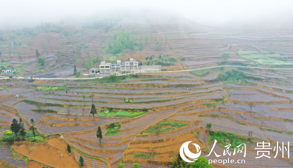 �󷽿h�S�����(zh��n)��ƺ�������Nֲ���غ��ġ���Ӗ(x��n)�F �z