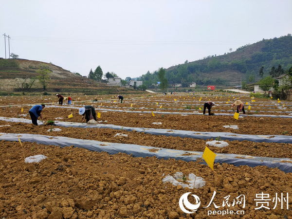 �󷽿h�S�����(zh��n)���Ӵ����������������������  �z